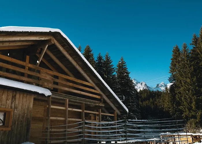 Laerchenwirt Dolomites Lejlighed