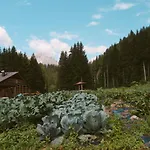 Lärchenwirt Dolomites Apartment *
