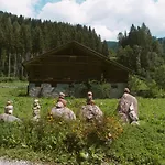 Lärchenwirt Dolomites