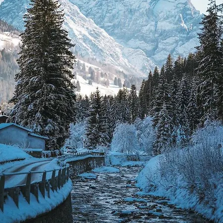 Laerchenwirt Dolomites 公寓 *
