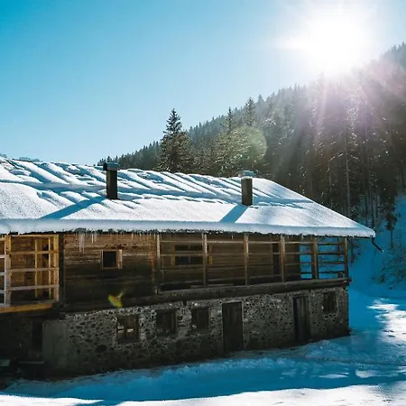Laerchenwirt Dolomites 公寓 *