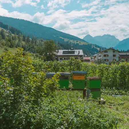 Appartement Laerchenwirt Dolomites *